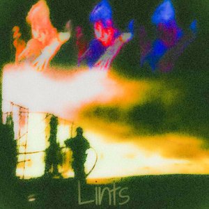 Lints [Explicit]