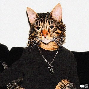 Noided Semaj 的头像
