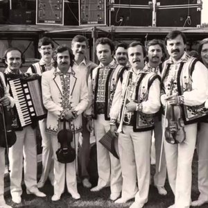 Avatar de Orchestra Lautarii