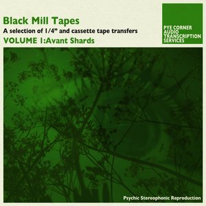 Black Mill Tapes, Volume 1: Avant Shards