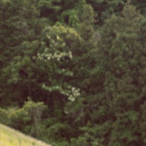 rusty nail - Single