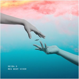 DEIXA O MEU BEST VIVER - Single