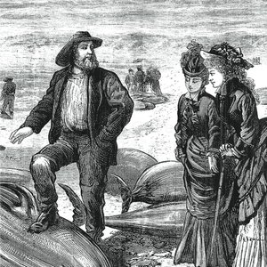 VIII