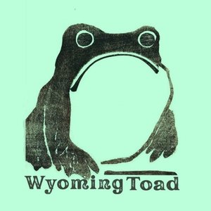 Avatar de Wyoming Toad
