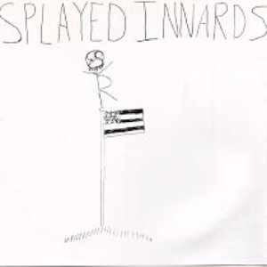 Splayed Innards 的头像