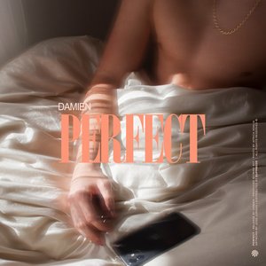 Perfect - Single