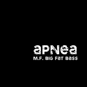 M.F. Big Fat Bass - Single