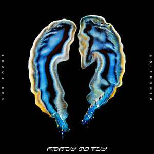 Artwork for Ready To Fly
