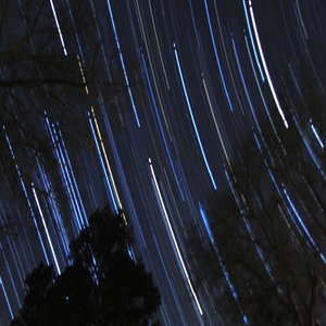 Stellar Collective