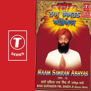 Naam Simran Abhyas (vol. 3)