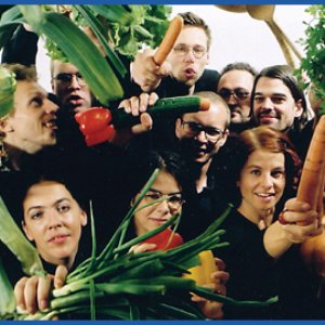 Avatar de das 1. wiener gemüseorchester