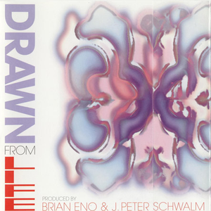 Drawn From Life cover