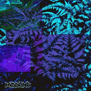 This I Know for Certain