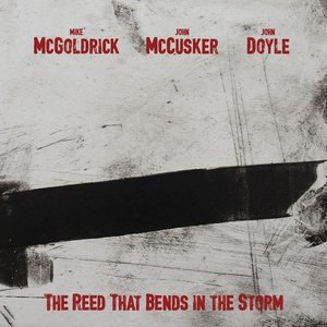 The Reed That Bends in the Storm