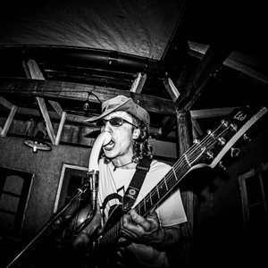 Avatar de Los Gatos Roñosos