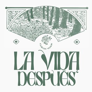 La Vida Después