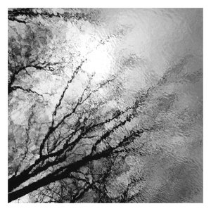 Silent Spring - EP