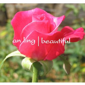 Beautiful SINGLE