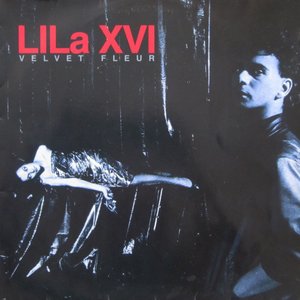 “Lila XVI”的封面