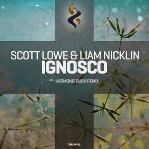 Scott Lowe & Liam Nicklin 的头像