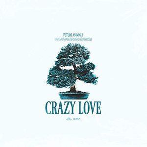 Crazy Love