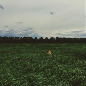 Avatar for Stephan Corputty