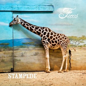 Stampede