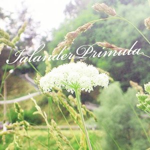 Ialander Primula 的头像