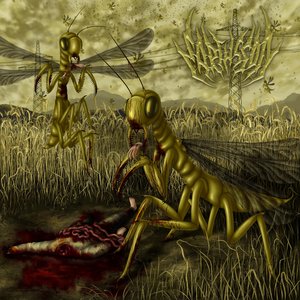 Apocalyptic Swarm