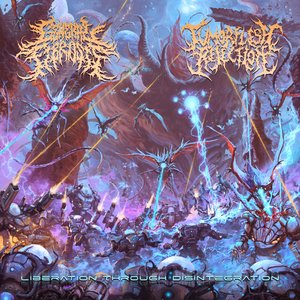 Liberation Through Disintegration (Split)