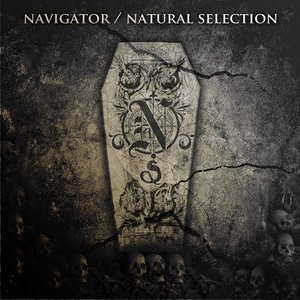 Natural Selection