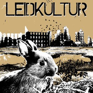 Leidkultur