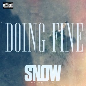 Doing Fine - Single