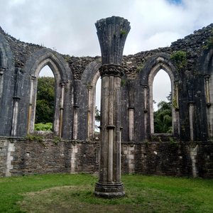 machynlleth 的头像