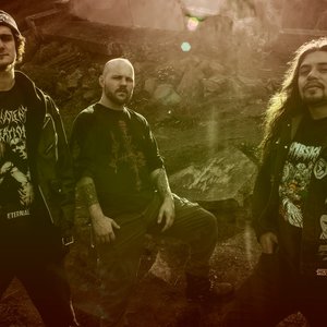 Dismembered Carnage 的头像