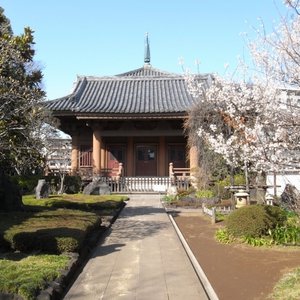 Image for '真言宗豊山派 金剛院'