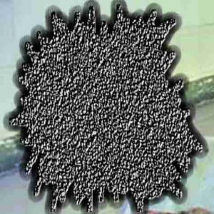 Avatar for Maggots In Amputative Necrosis