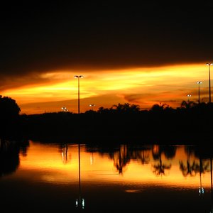 Avatar de Cachorros também latem