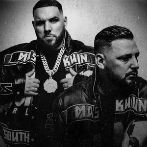 Fler feat. Bass Sultan Hengzt 的头像