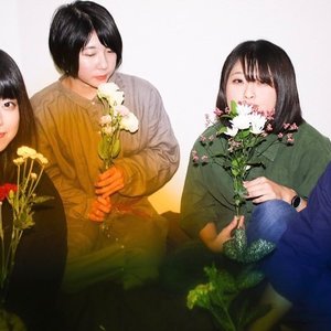 The Plums 的头像