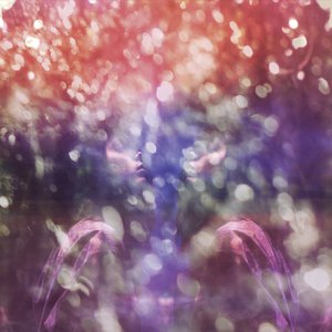 All Things Transient (2024 Mix)
