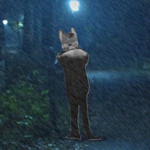 F.O.K.S 的头像