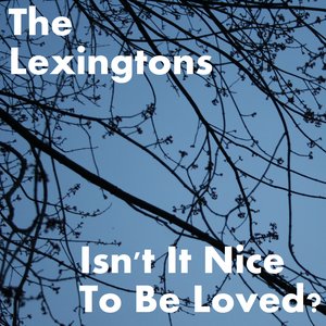 Image for 'The Lexingtons'