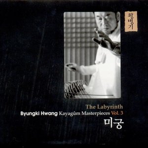 “미궁”的封面