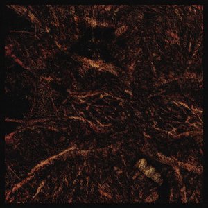 The Unbearable Form - EP