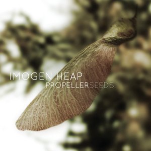 Propeller Seeds - EP