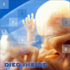 DiedInside のアバター