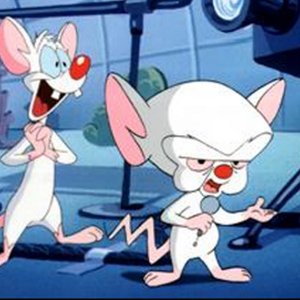 Avatar for PINKY AND THE BRAIN