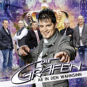 Artwork for Ab In Den Wahnsinn