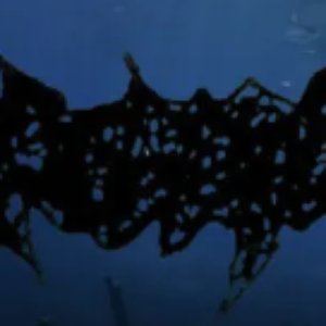 Avatar for Otocephaly